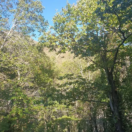 In Montagna Da Emili&gabriel Lizzano In Belvedere