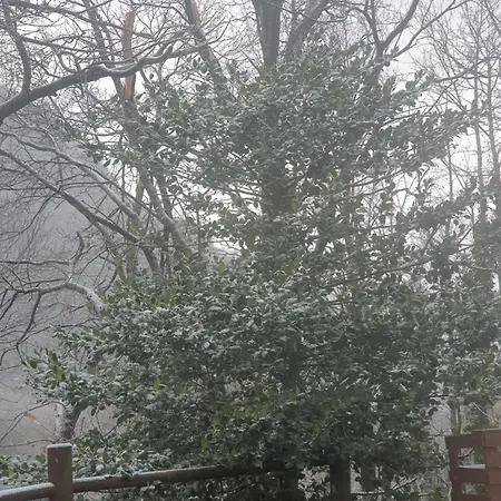 In Montagna Da Emili&gabriel