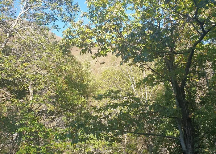 In Montagna Da Emili&gabriel 리자노인벨베데레