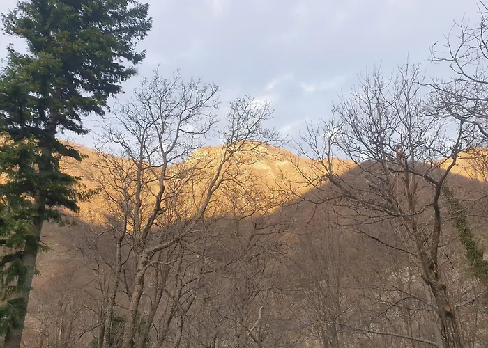 In Montagna Da Emili&gabriel 3* 리자노인벨베데레