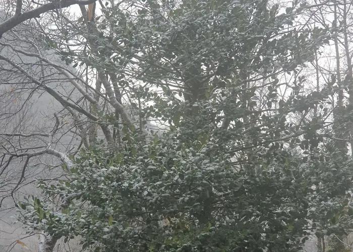 In Montagna Da Emili&gabriel